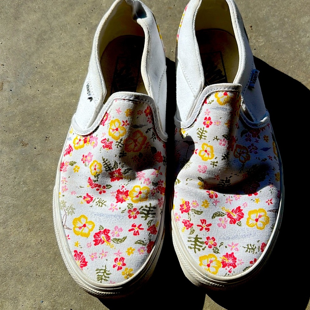 Vans slip on